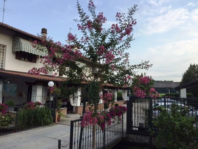 Hotel Locanda Da Carla Vigevano Exterior photo